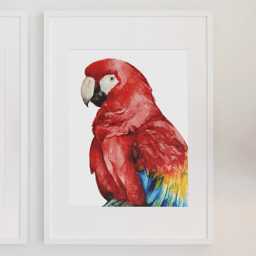 Red Macaw Parrot Bird Watercolor Wall Art Print Poster Unframed - Picture 3 of 8
